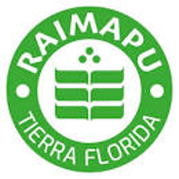 Logo Colegio Raimapu