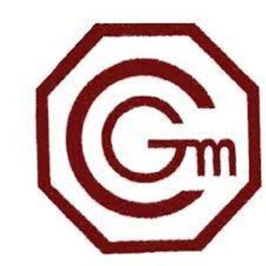 Logo Liceo Gabriela Mistral